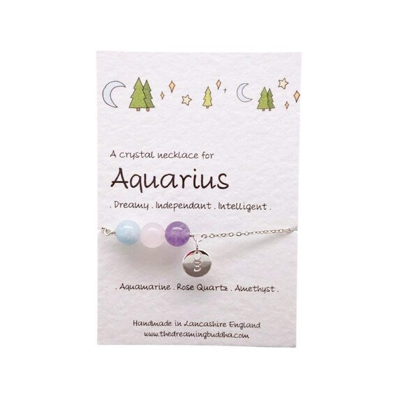 Aquarius Birthday Necklace, Personalised Zodiac Jewellery, Star Sign Choker, Crystal Bar Necklace, Postal Birthday Gift, January Horoscope
