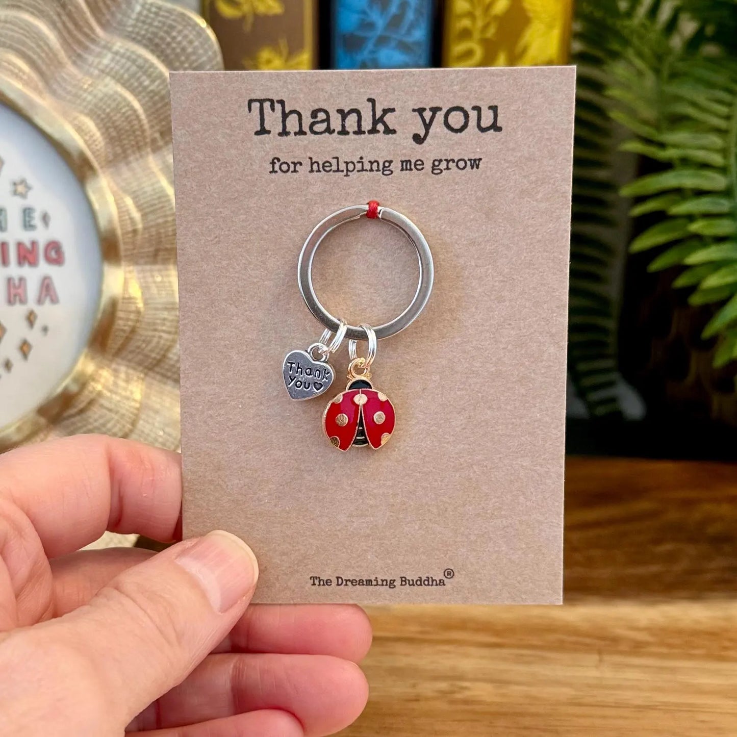 Bulk Teacher Gifts Set of 5 Teacher Thank You For Helping Me Grow Keyrings Pack of Five Ladybird Keyworker Nursery TA Presents