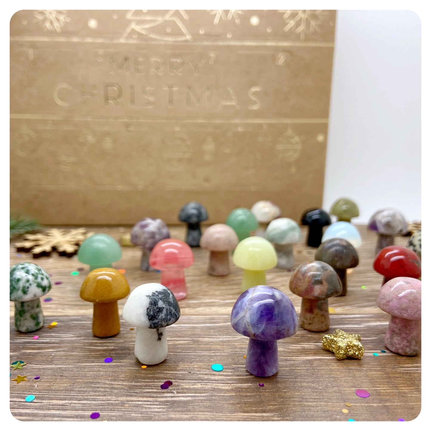Crystal Mushroom Advent Calendar, Vegan Crystal Christmas Gift, Mushroom Lover Gift Set, Mini Mushroom Teacher Grow Christmas Gift Set
