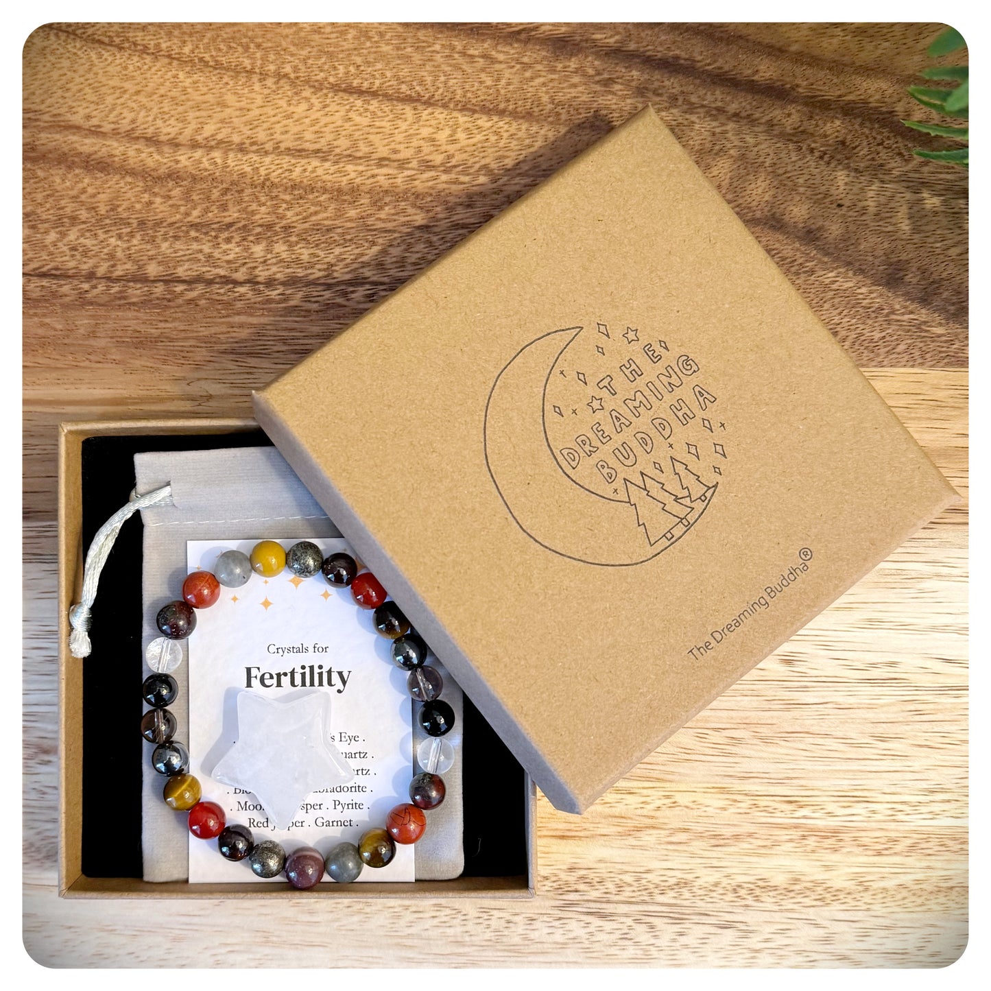 Male Fertility Bracelet, Fertility Support Bracelet, Trying To Conceive Gift, Couples Fertility Bracelets, Fertility Gift For Him