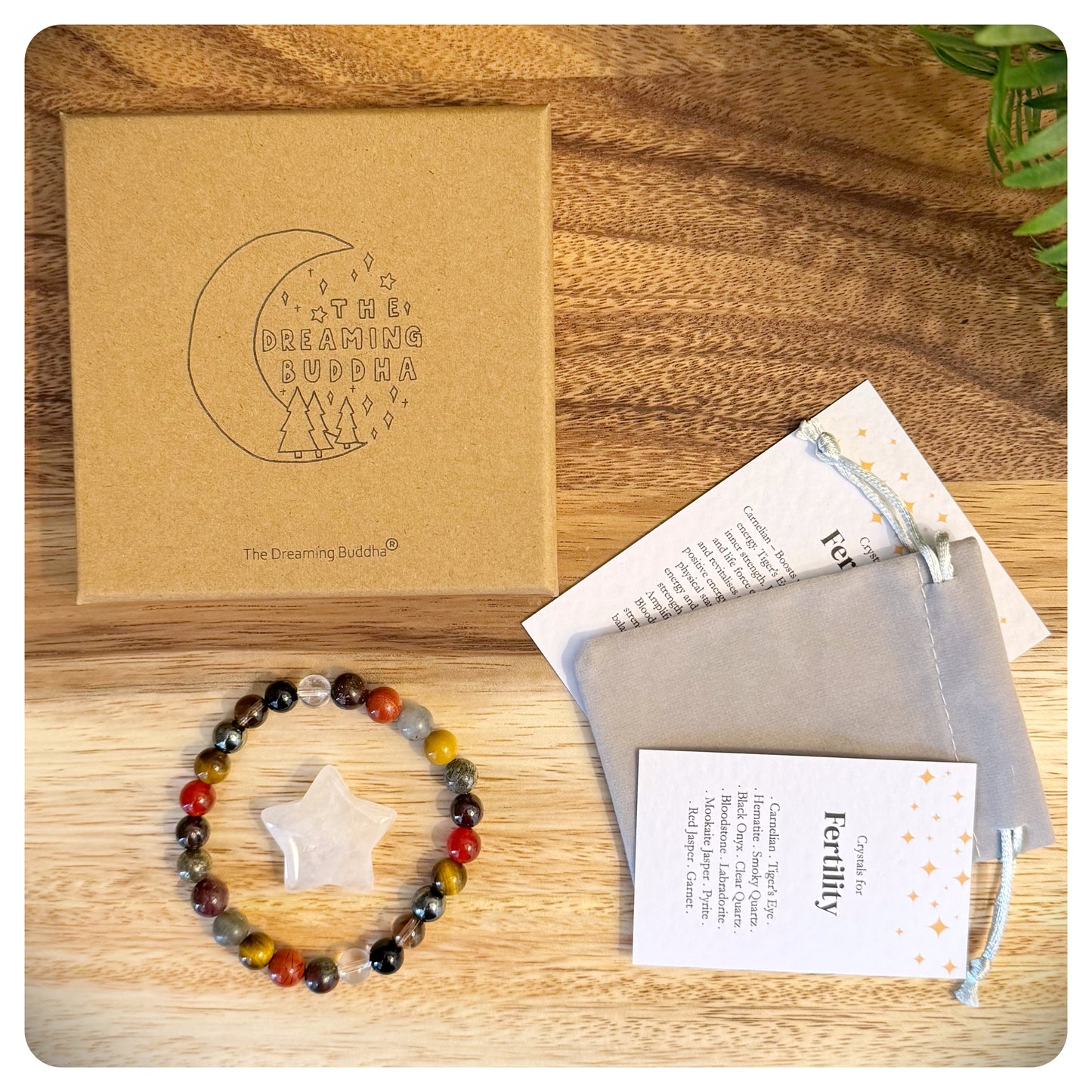 Male Fertility Bracelet, Fertility Support Bracelet, Trying To Conceive Gift, Couples Fertility Bracelets, Fertility Gift For Him