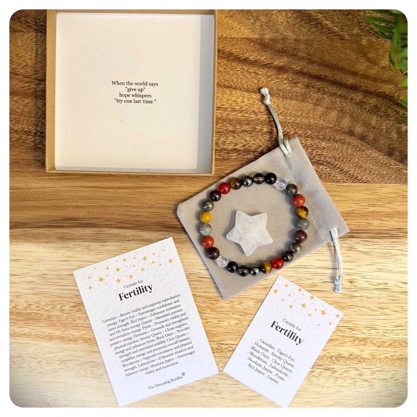 Male Fertility Bracelet, Fertility Support Bracelet, Trying To Conceive Gift, Couples Fertility Bracelets, Fertility Gift For Him