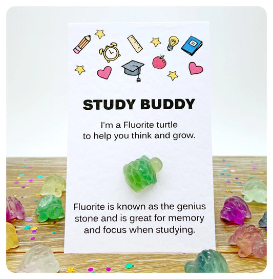 Student Good Luck Charm, Crystal Revision Aid, Exam Focus Gift, Fluorite Gemstone Turtle, Study Buddy Greeting Card