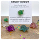 Student Good Luck Charm, Crystal Revision Aid, Exam Focus Gift, Fluorite Gemstone Turtle, Study Buddy Greeting Card