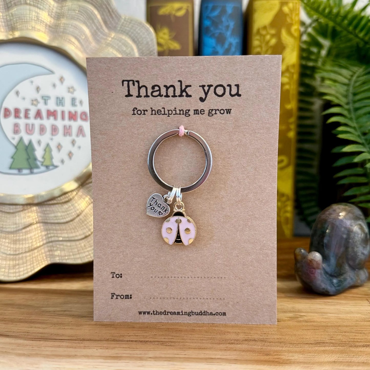 Bulk Pack Of 5 Teacher Gifts | Thank You For Helping Me Grow Ladybird Keyrings | Set Of Five Ladybug Thank You Nursery Pre-School Gifts