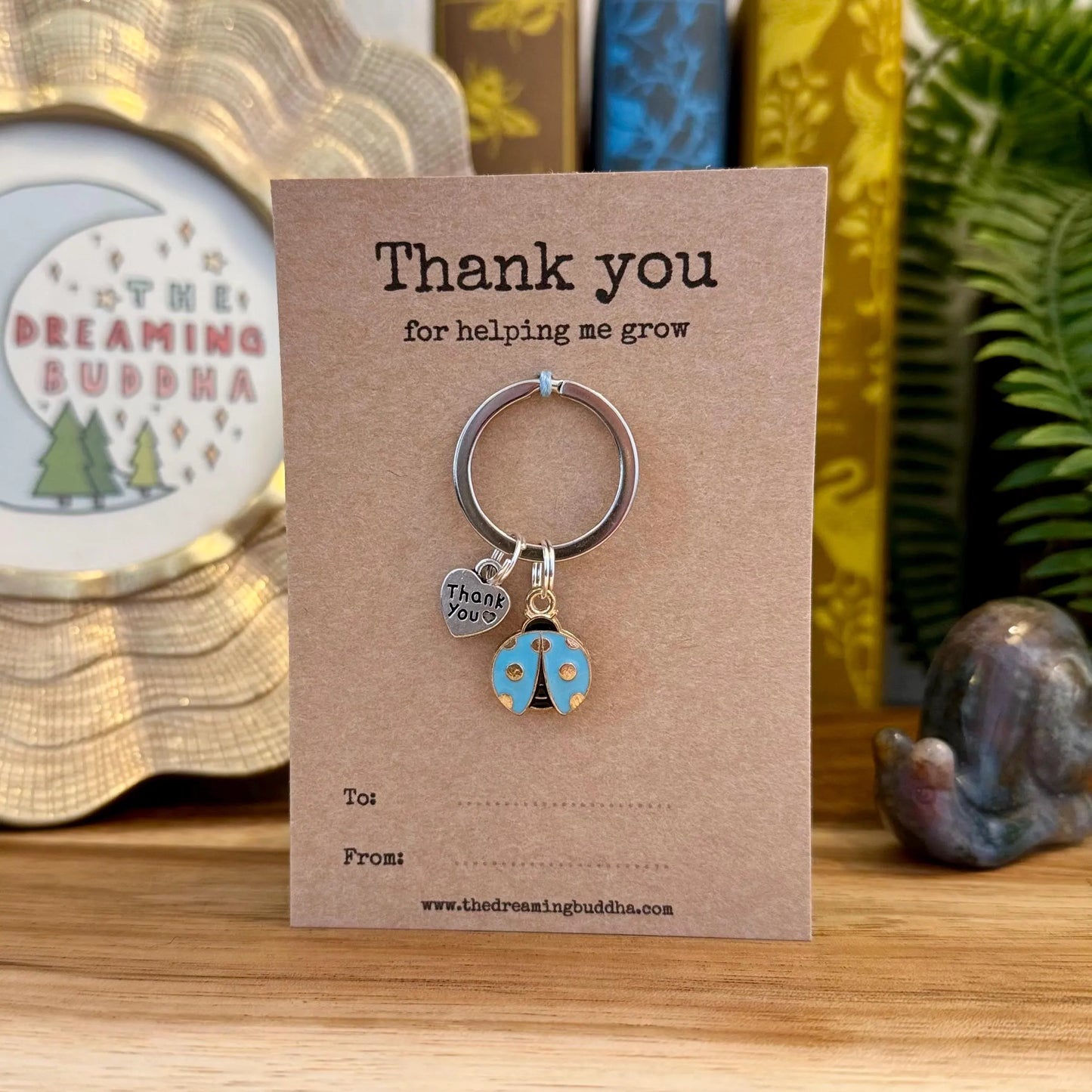 Bulk Pack Of 5 Teacher Gifts | Thank You For Helping Me Grow Ladybird Keyrings | Set Of Five Ladybug Thank You Nursery Pre-School Gifts