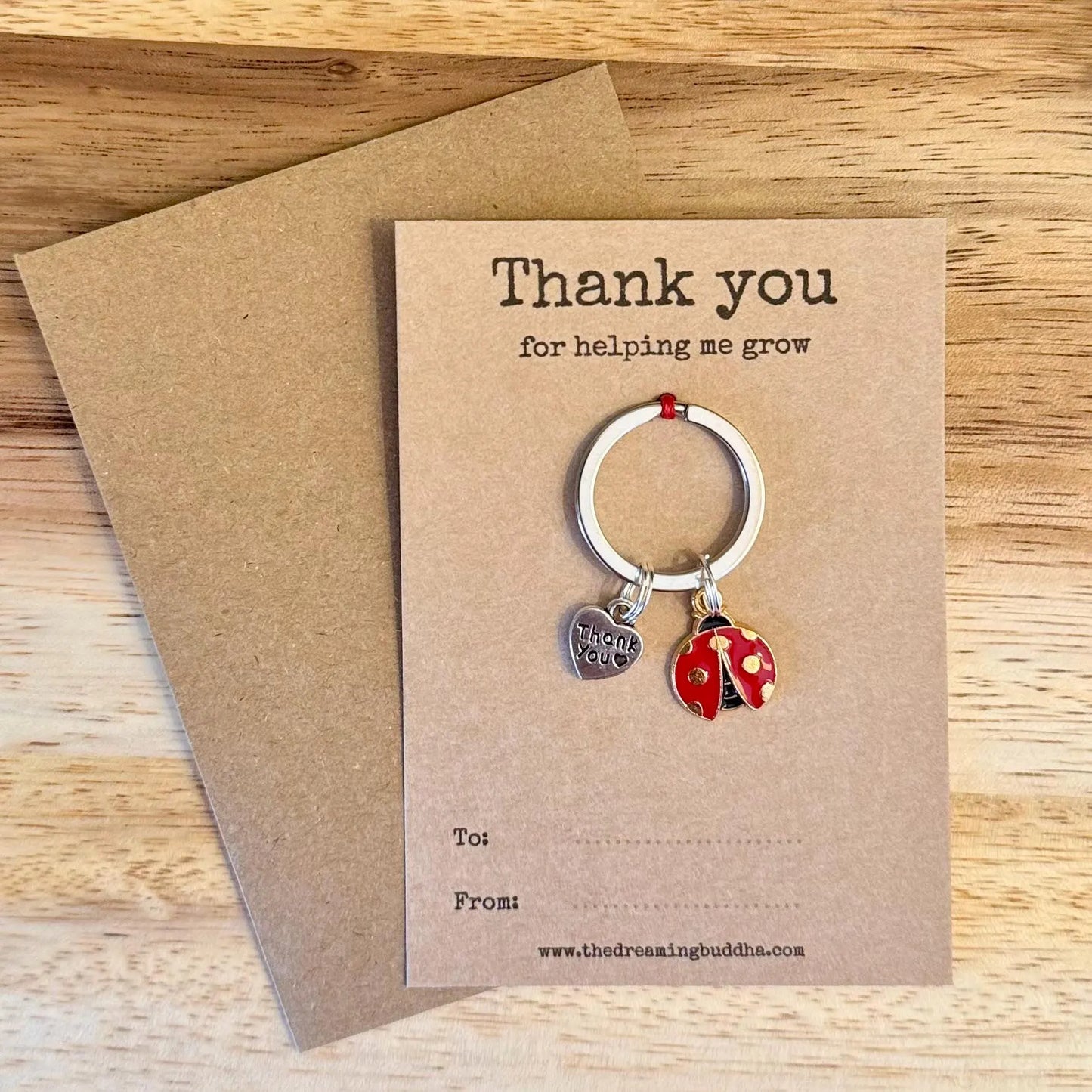 Bulk Pack Of 5 Teacher Gifts | Thank You For Helping Me Grow Ladybird Keyrings | Set Of Five Ladybug Thank You Nursery Pre-School Gifts