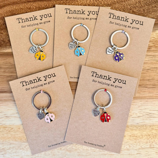 Bulk Teacher Gifts Set of 5 Teacher Thank You For Helping Me Grow Keyrings Pack of Five Ladybird Keyworker Nursery TA Presents