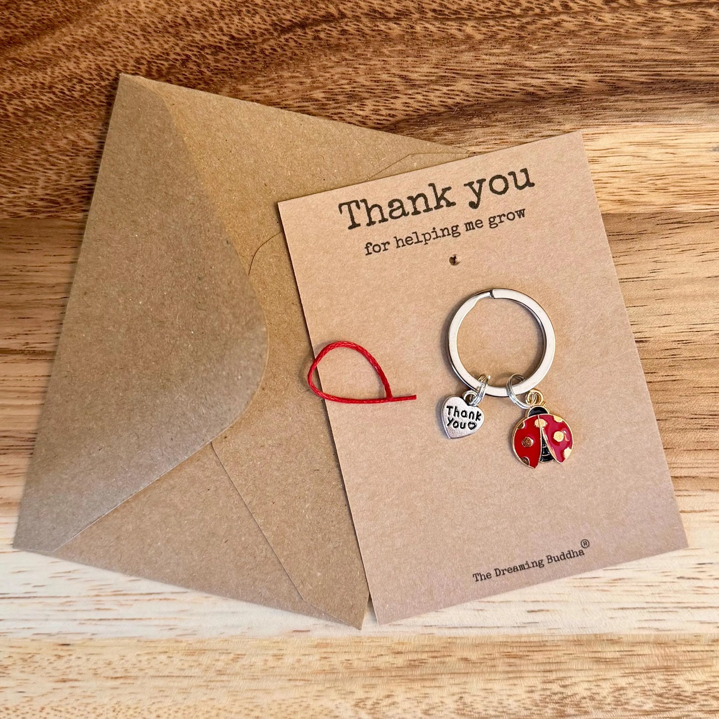 Thank You for Helping Me Grow Ladybird Teacher Keyring  TA Keyworker Appreciation Gift Personalised Ladybug Nursery Worker Gifts