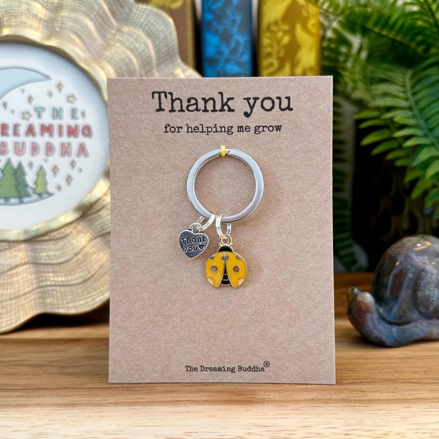 Bulk Teacher Gifts Set of 5 Teacher Thank You For Helping Me Grow Keyrings Pack of Five Ladybird Keyworker Nursery TA Presents