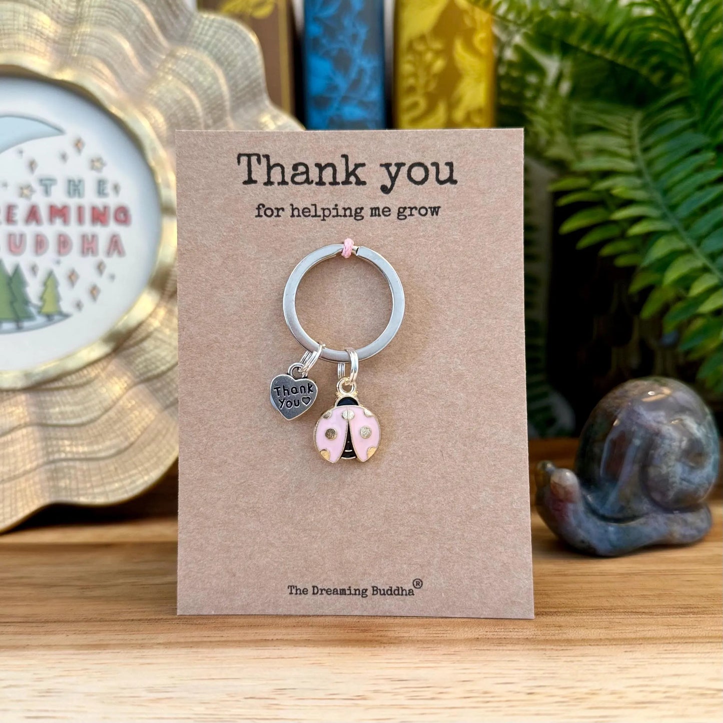 Bulk Teacher Gifts Set of 5 Teacher Thank You For Helping Me Grow Keyrings Pack of Five Ladybird Keyworker Nursery TA Presents