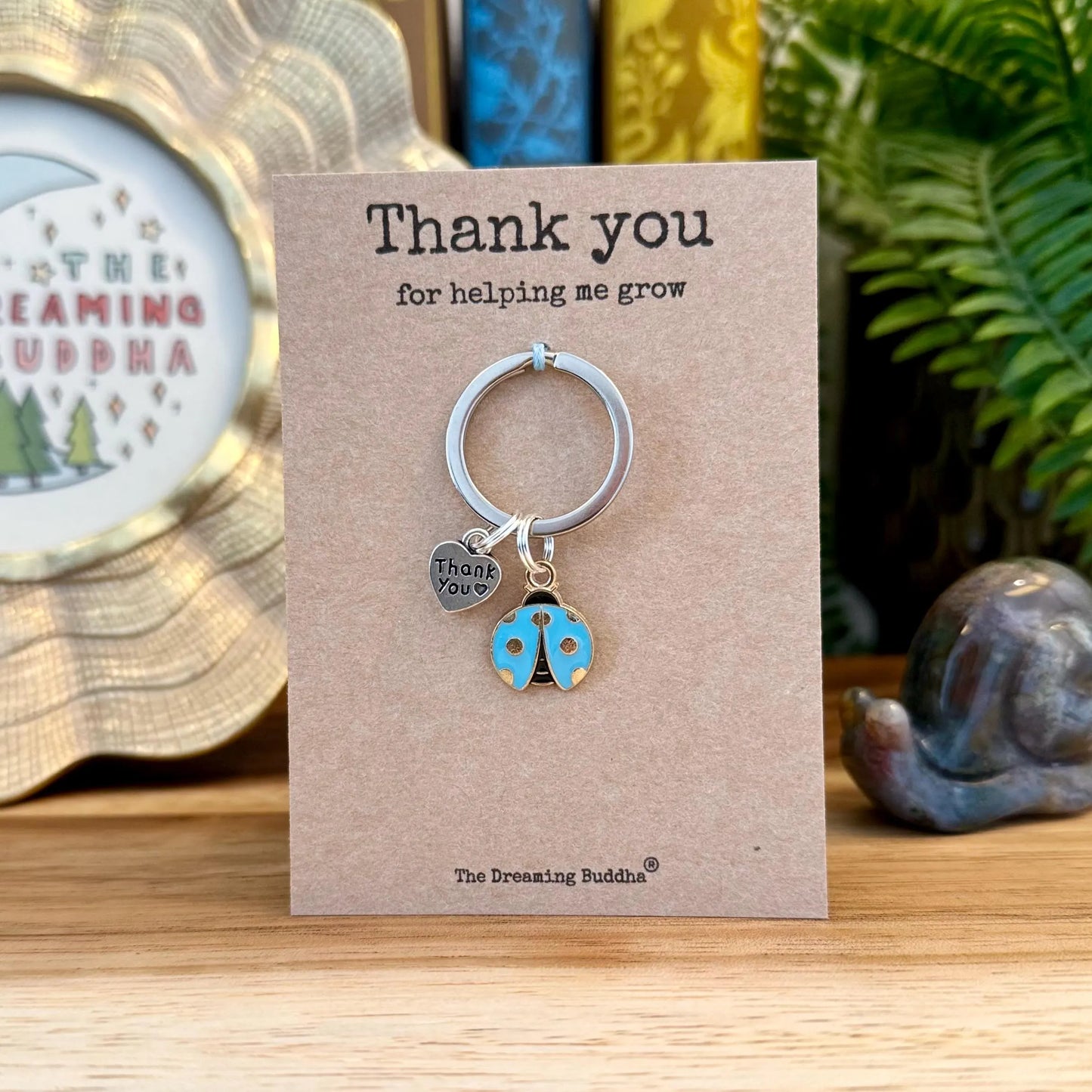 Thank You for Helping Me Grow Ladybird Teacher Keyring  TA Keyworker Appreciation Gift Personalised Ladybug Nursery Worker Gifts
