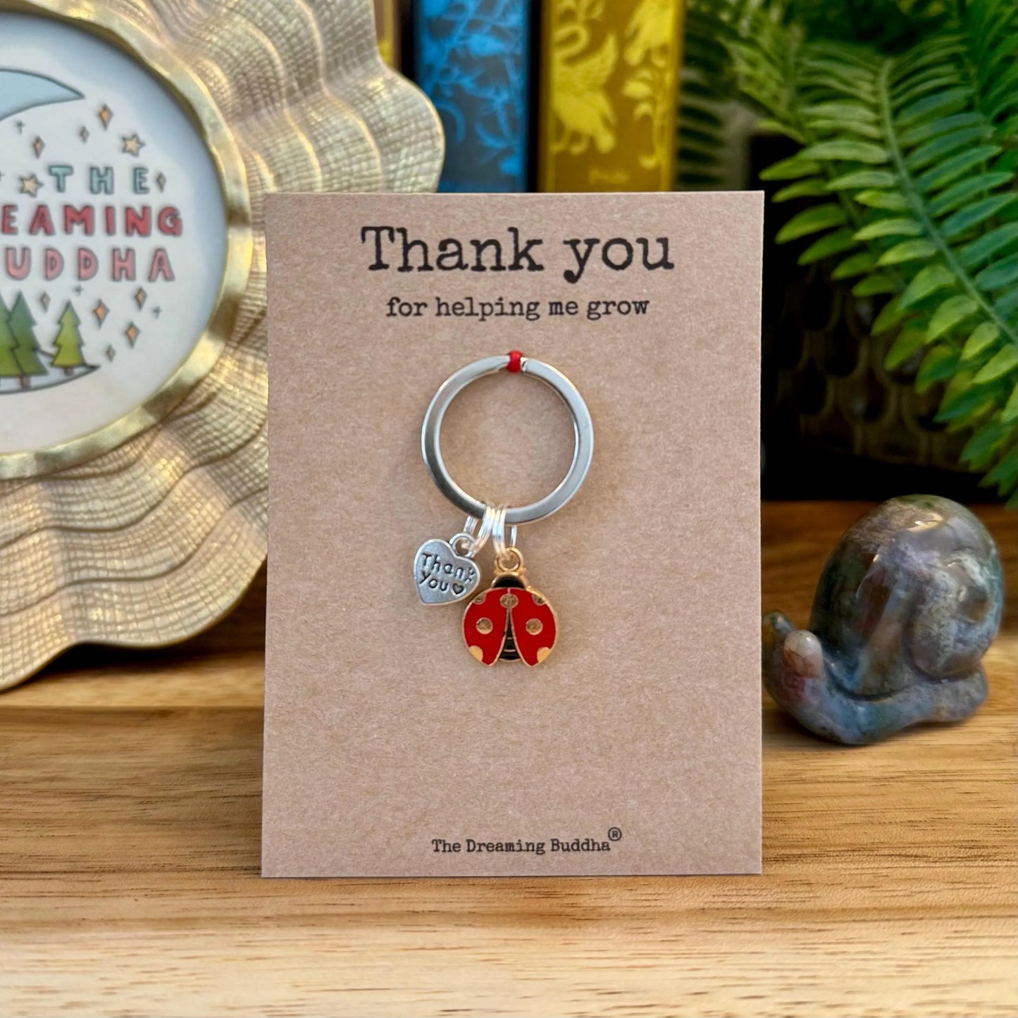 Thank You for Helping Me Grow Ladybird Teacher Keyring  TA Keyworker Appreciation Gift Personalised Ladybug Nursery Worker Gifts