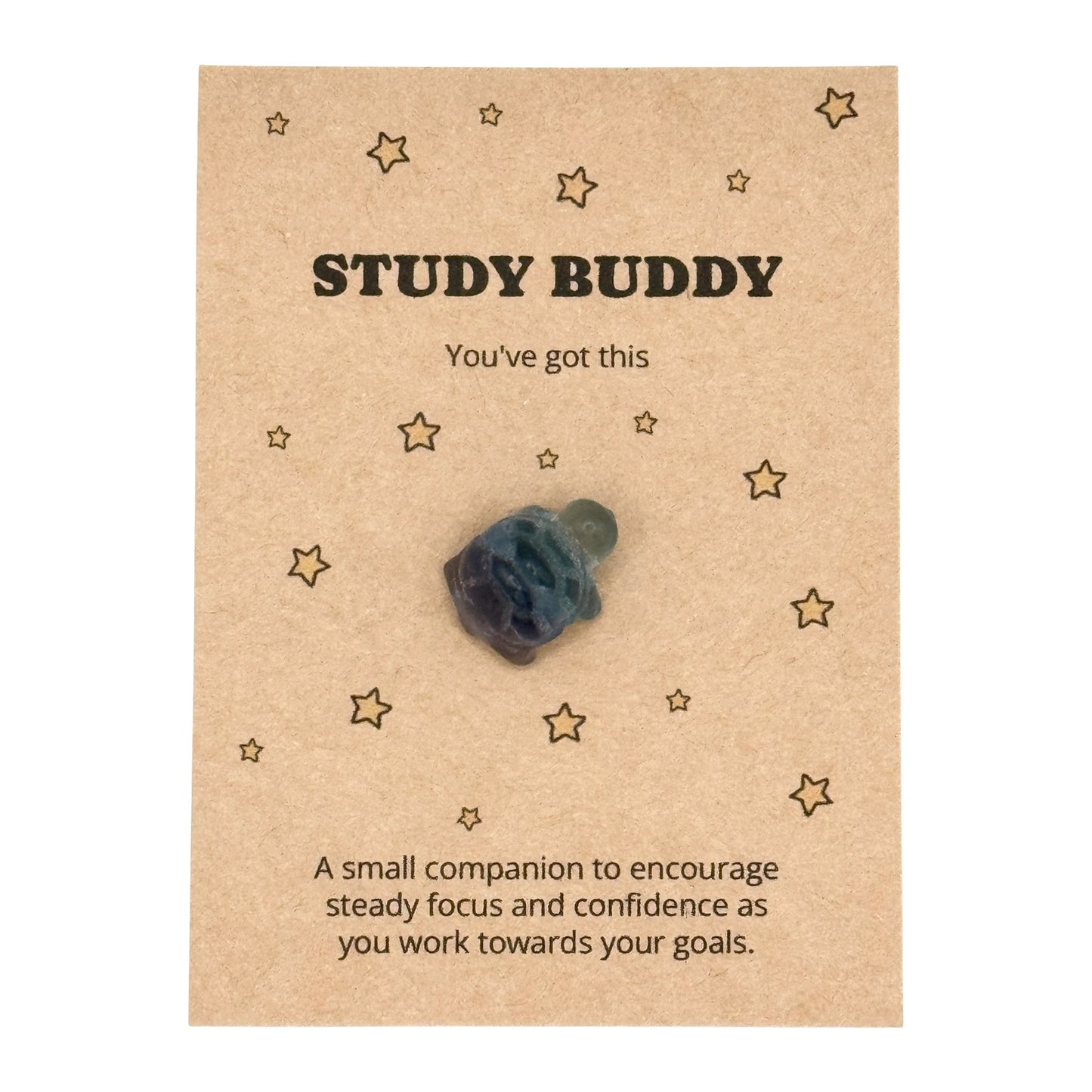 Exam Good Luck Gift, Crystal Turtle Study Keepsake, Revision Gift for Students, Driving Test Gift, Pocket Token