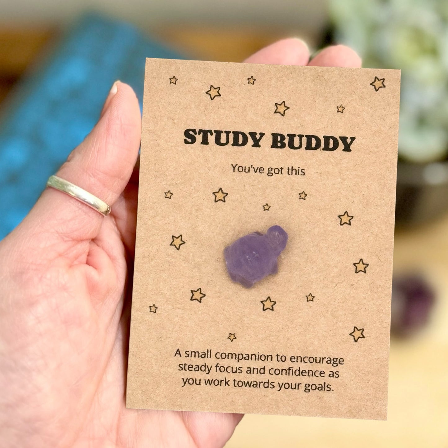Exam Good Luck Gift, Crystal Turtle Study Keepsake, Revision Gift for Students, Driving Test Gift, Pocket Token