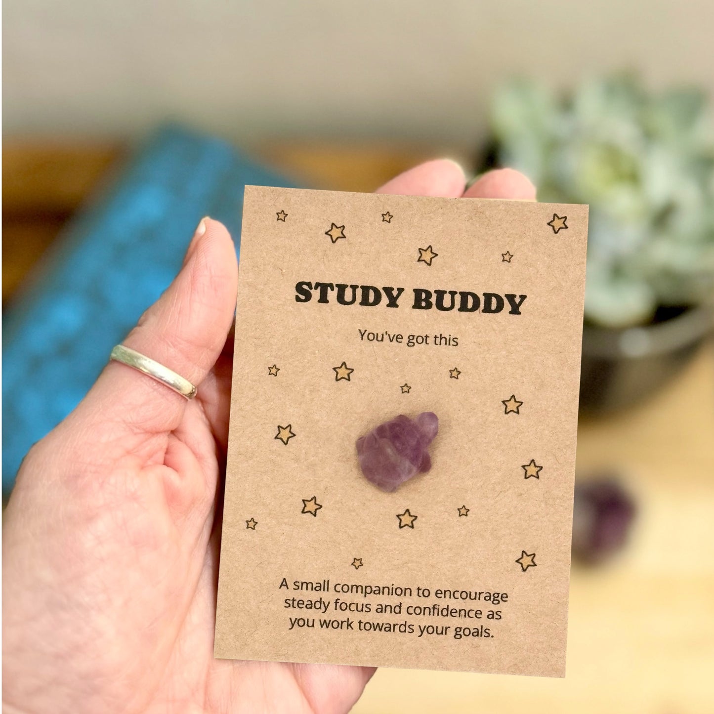 Exam Good Luck Gift, Crystal Turtle Study Keepsake, Revision Gift for Students, Driving Test Gift, Pocket Token