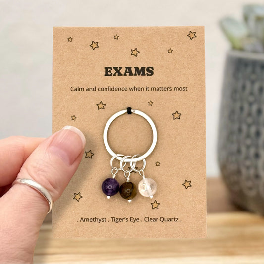 Good Luck Exam Keyring Gift, You've Got This Gift, Student Revision Gift, GCSE A Level Gift, Study Motivation Keepsake