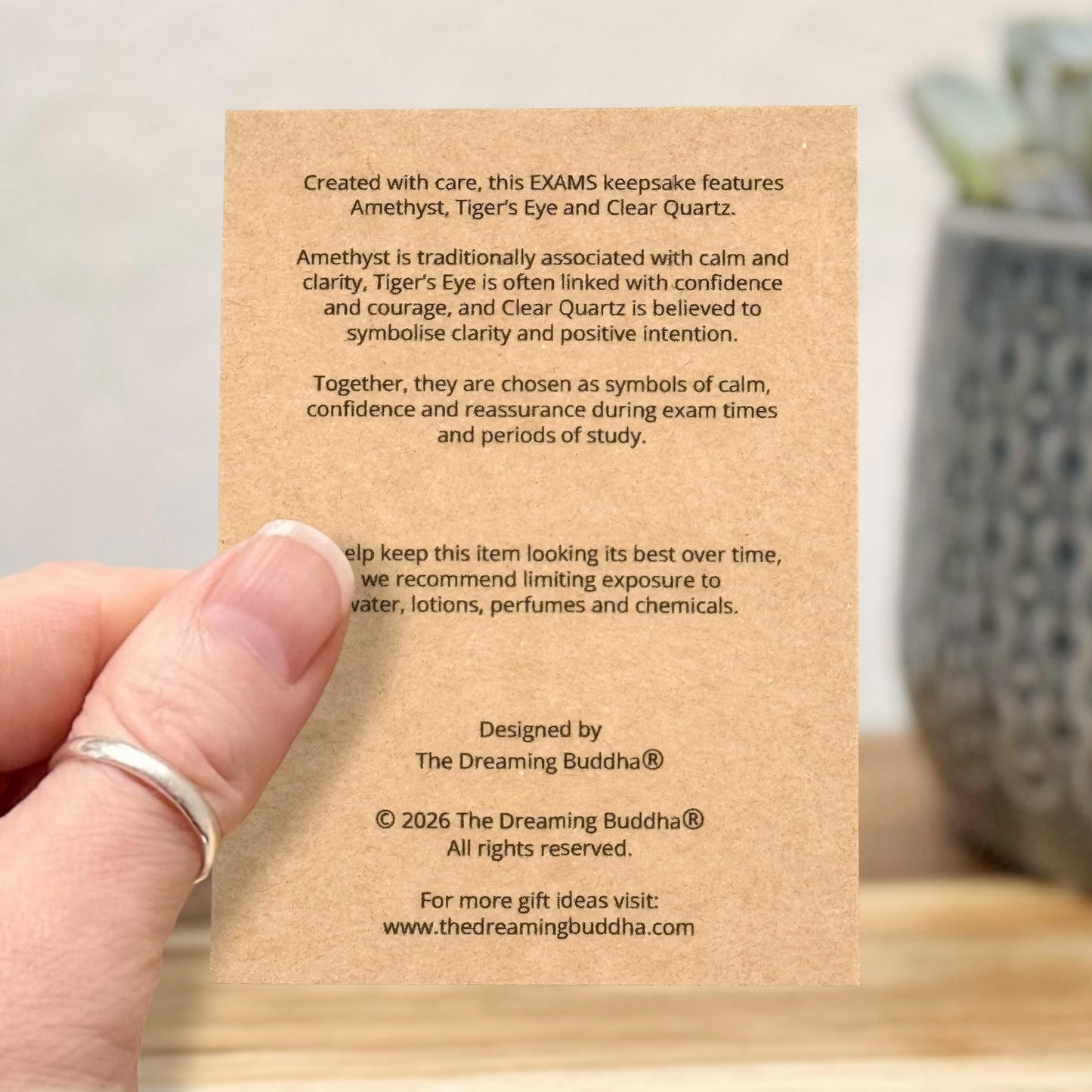 Good Luck Exam Keyring Gift, You've Got This Gift, Student Revision Gift, GCSE A Level Gift, Study Motivation Keepsake